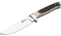 BOK_02BA351HArbolito_Hunter Stag .jpg